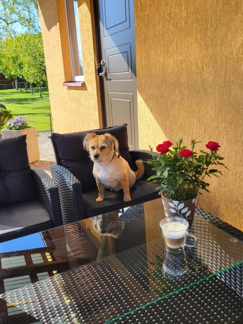 Namelis Rugilė Apartment in Lithuania