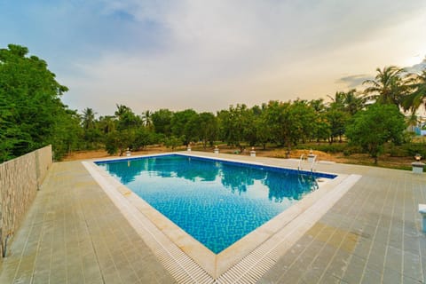 Pool view, Swimming pool, sunbed