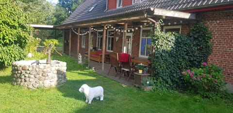 Patio, Balcony/Terrace
