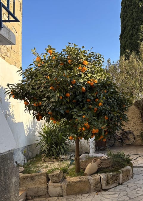 Inner courtyard view