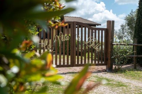 Spring, Garden view