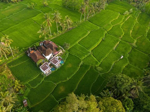 Day, Natural landscape, Bird's eye view, Garden, Garden view