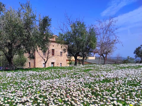 Natural landscape, Garden, Landmark view