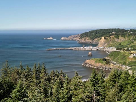 Redfish Rocks Villas - Green Villa in Port Orford