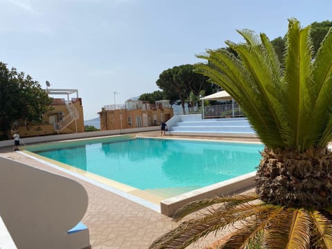 Day, Garden, Garden view, Pool view, Swimming pool, sunbed