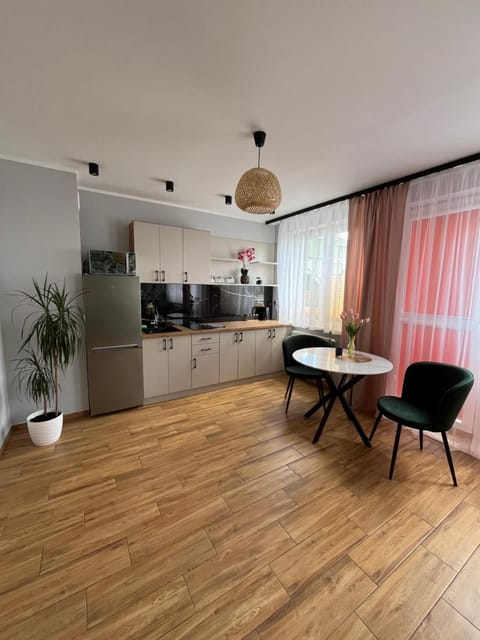 Kitchen or kitchenette, Dining area, stove