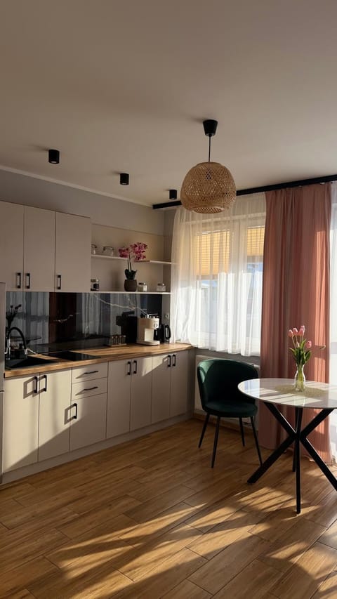 MiniApart w Sercu Suwałk 1 & 2 Apartment in Lithuania