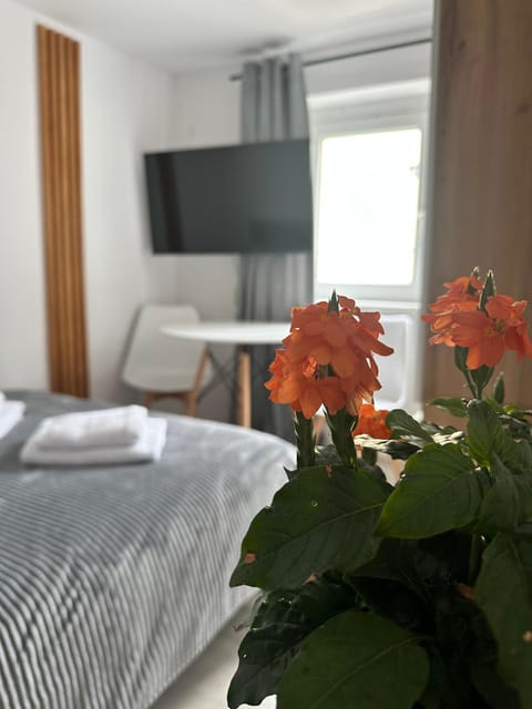 Anemos Bed and Breakfast in Leba