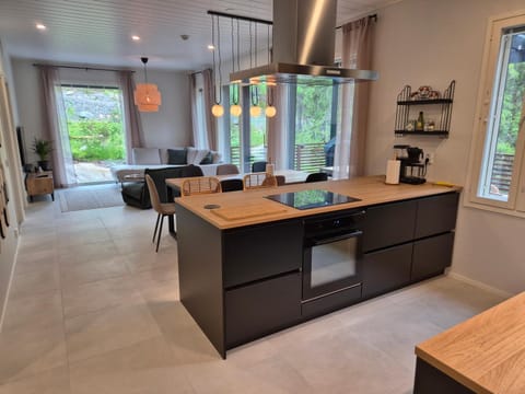 Huippumökki Himos Chalet in Finland