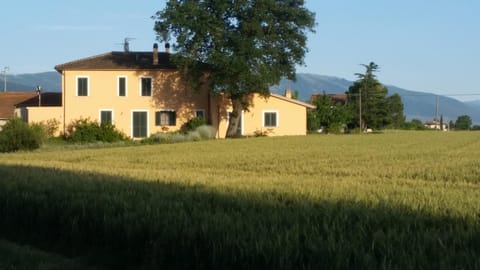 Facade/entrance, Garden