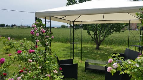 Natural landscape, Garden