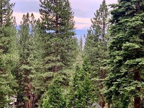 Idyllic Incline Village close to Lake Tahoe House in Incline Village