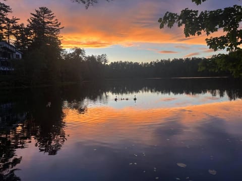 Waterfront In Law Suite on Wolf Pond Apartment in Ray Brook