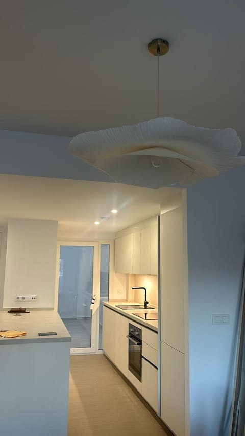Kitchen or kitchenette, oven, stove