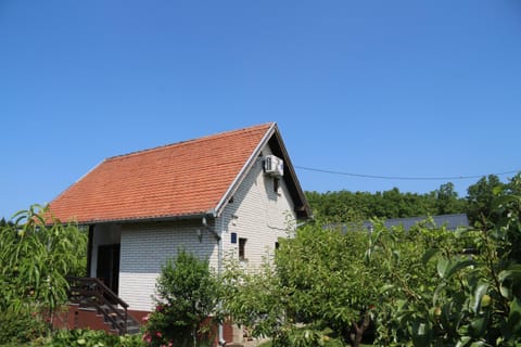 Property building, Day, Garden