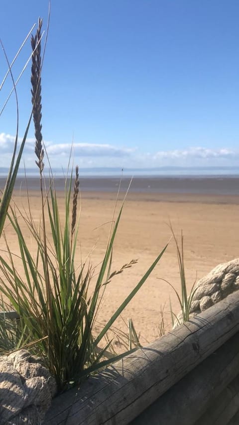 Ocean Drive BOUTIQUE Apartment Adults only Dog friendly Apartment in Brean