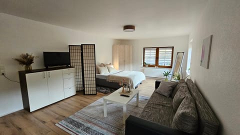 Bed, TV and multimedia, Living room, Photo of the whole room, Seating area, Evening entertainment, Bedroom
