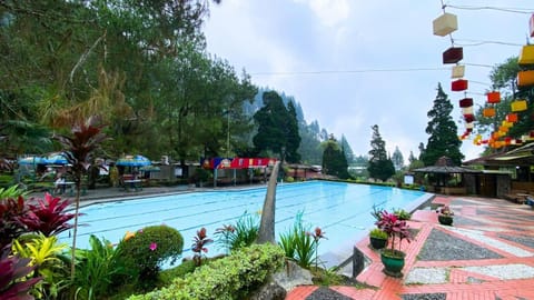 Spring, Swimming pool, Swimming pool