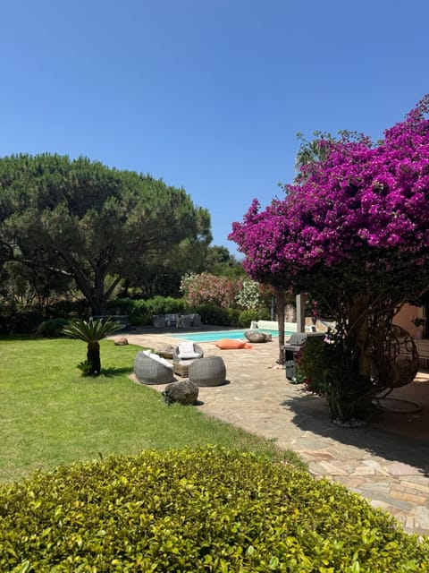 Garden, Garden view, Pool view