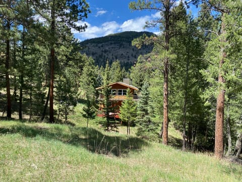 Property building, Spring, Day, Natural landscape