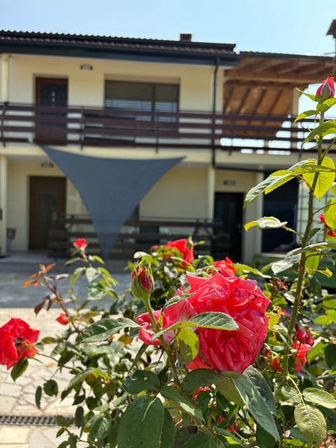 Property building, Garden view