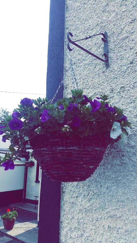 Property building, Spring, Natural landscape, Summer, Other, Location