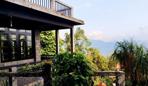 Garden view