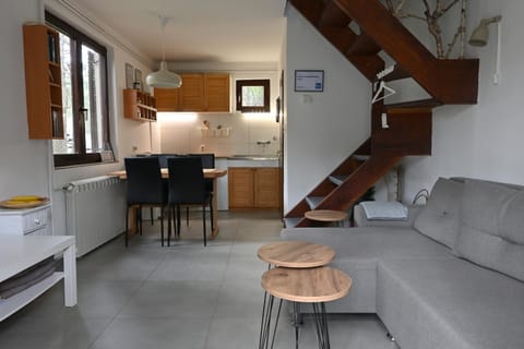 DIVCIBARE KUCA centar House in Zlatibor District, Serbia