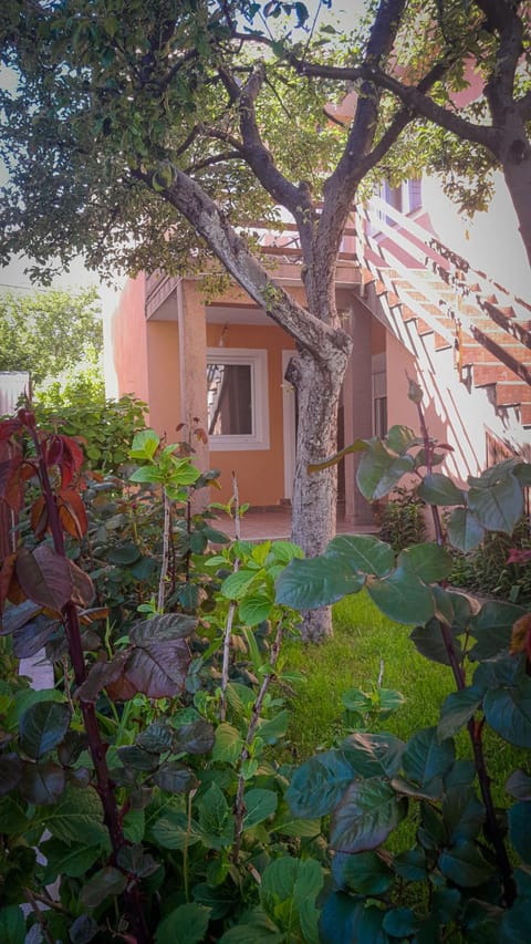 Property building, Garden view