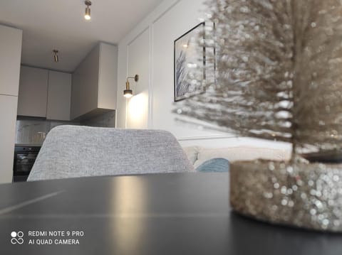 Lullaby apartment 2, moderan stan sa spavaćom sobom i privatnom garažom Apartment in Vojvodina