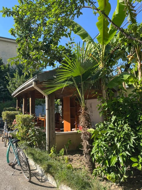 Traveler Hostel 2 Hostel in Montenegro