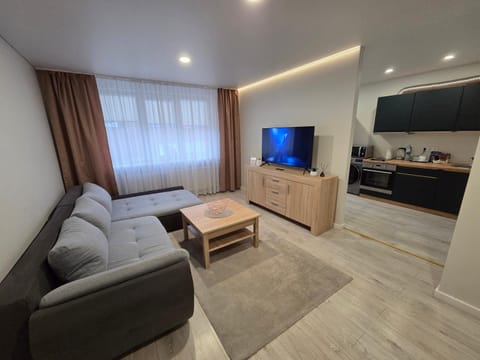 Studio IT on Tumo Apartment in Klaipėda County, Lithuania