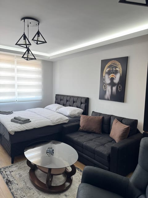 Duran Lux Apartment in Serbia