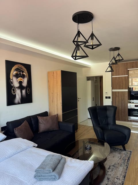 Duran Lux Apartment in Serbia