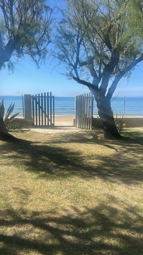 Sea view