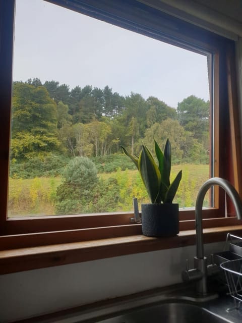 1 Bed Apartment Inverness with City Views Apartment in Inverness