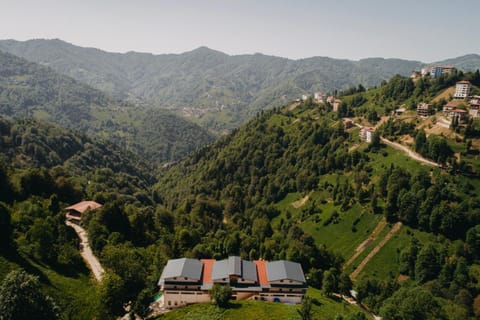 Natural landscape, Garden, Mountain view