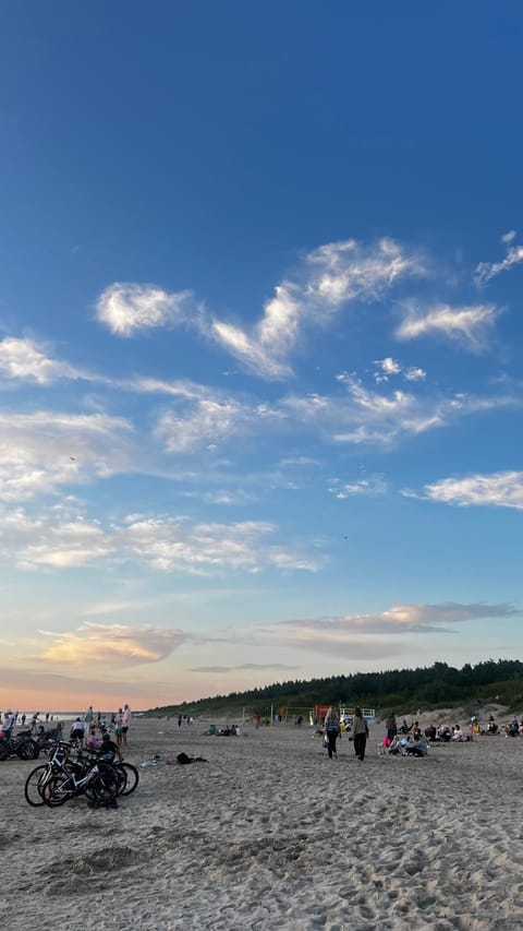 Vila Gaja Apartment in Palanga