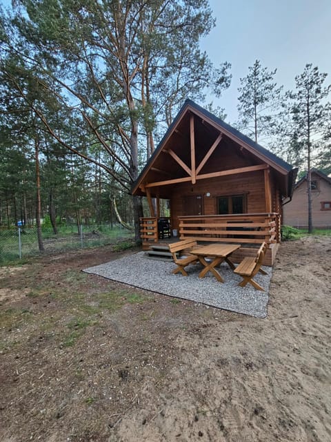 Leśna Przystań Borsk House in Pomeranian Voivodeship