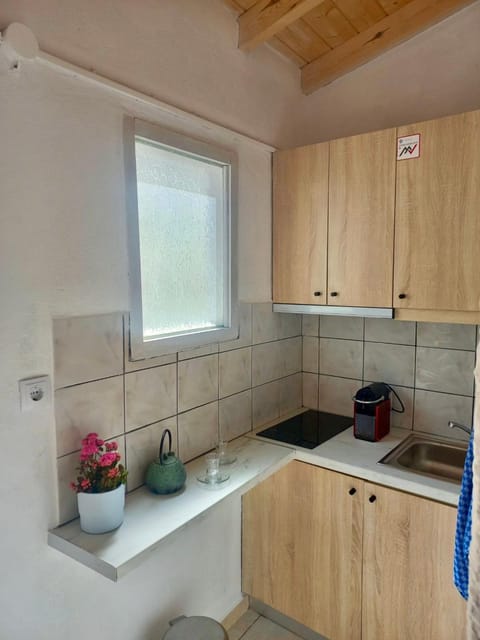 Petalides Studios Apartment in Samos, Greece