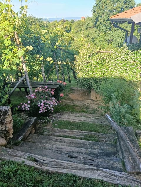 Casa Lodolo Lessona Apartment in Piedmont