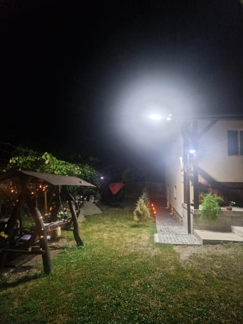 Night