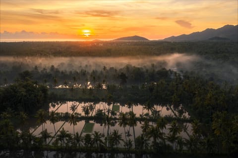 Mountain view, Sunrise