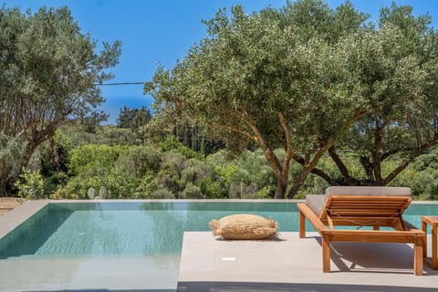Spring, Day, Natural landscape, Garden, Garden view, Pool view, Swimming pool, sunbed