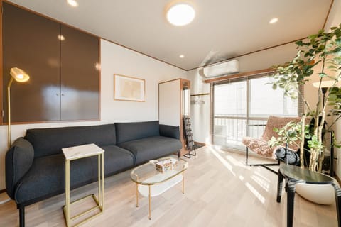 Living room, air conditioner