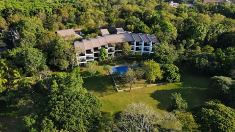 Natural landscape, Bird's eye view, Swimming pool