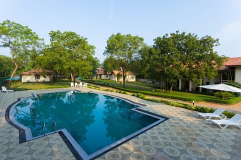 Pool view, Area and facilities, Swimming pool