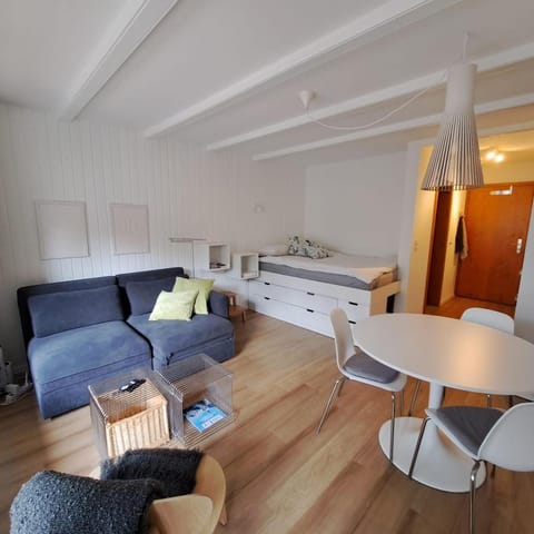 Le Flocon Studio in Ovronnaz close to the baths Apartment in Canton of Vaud