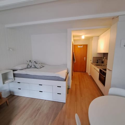 Le Flocon Studio in Ovronnaz close to the baths Apartment in Canton of Vaud