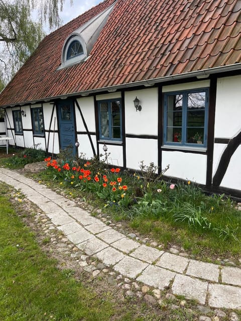 Property building, Spring, Day, Garden, Garden view